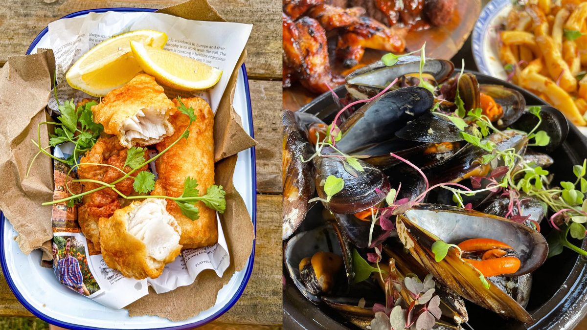 Downloads 003 scaled